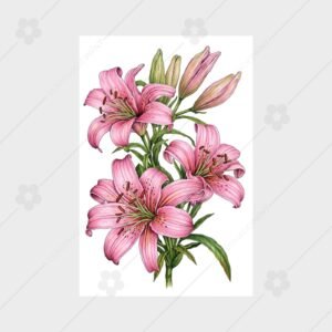 Lily Grace Bouquet