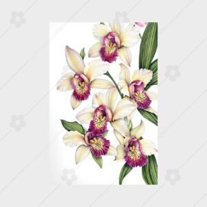 Orchid Garden Whisper