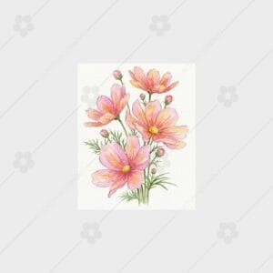 Peach Cosmos Breeze