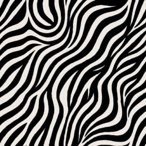 Classic Zebra Stripe