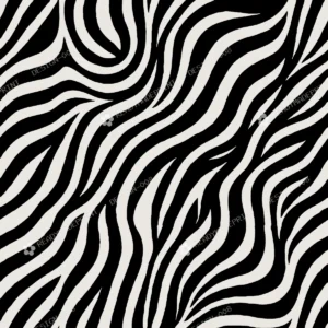 Classic Zebra Stripe Classic Zebra Stripe