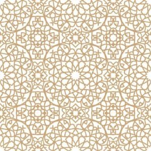 Jaali Screen Geometric Pattern