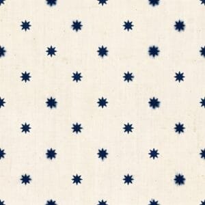 Ajrakh Indigo Buti