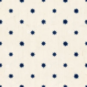 Ajrakh Indigo Buti